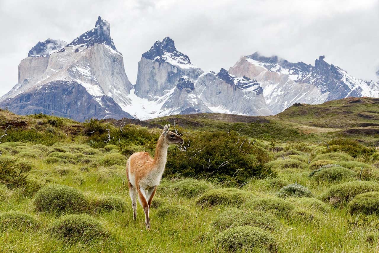 Excursiones Torres del Paine