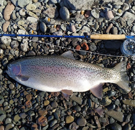 Pesca en Lago Strobel